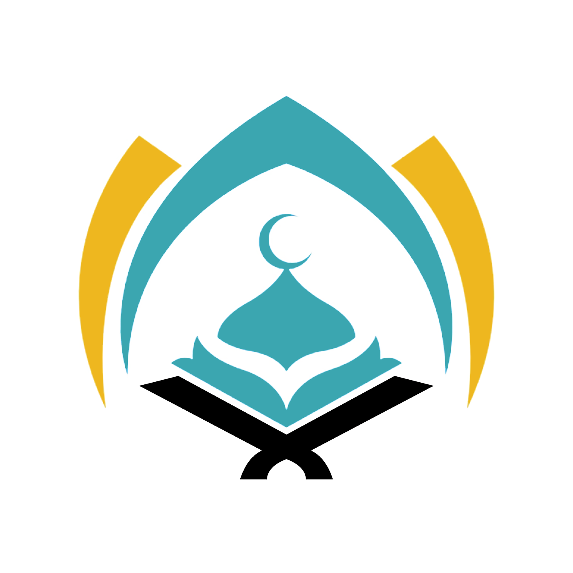 Al Noor International Quran Academy logo